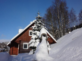 Apartmán Na Zlatníku